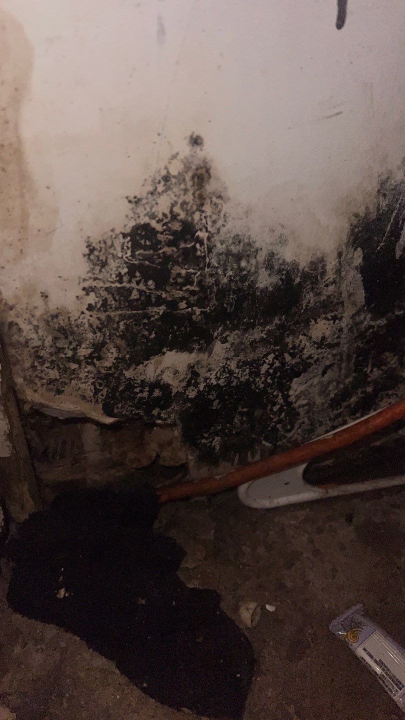 Mold remediation in progress