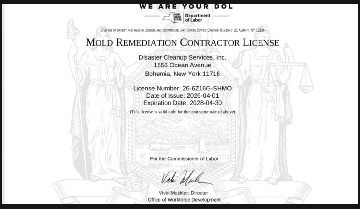 Certified mold remediation technician